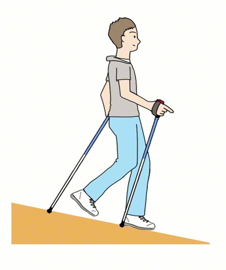 「ポールウォーキング」で歩こう About Pole Walking ポールウオーキングへの手引き